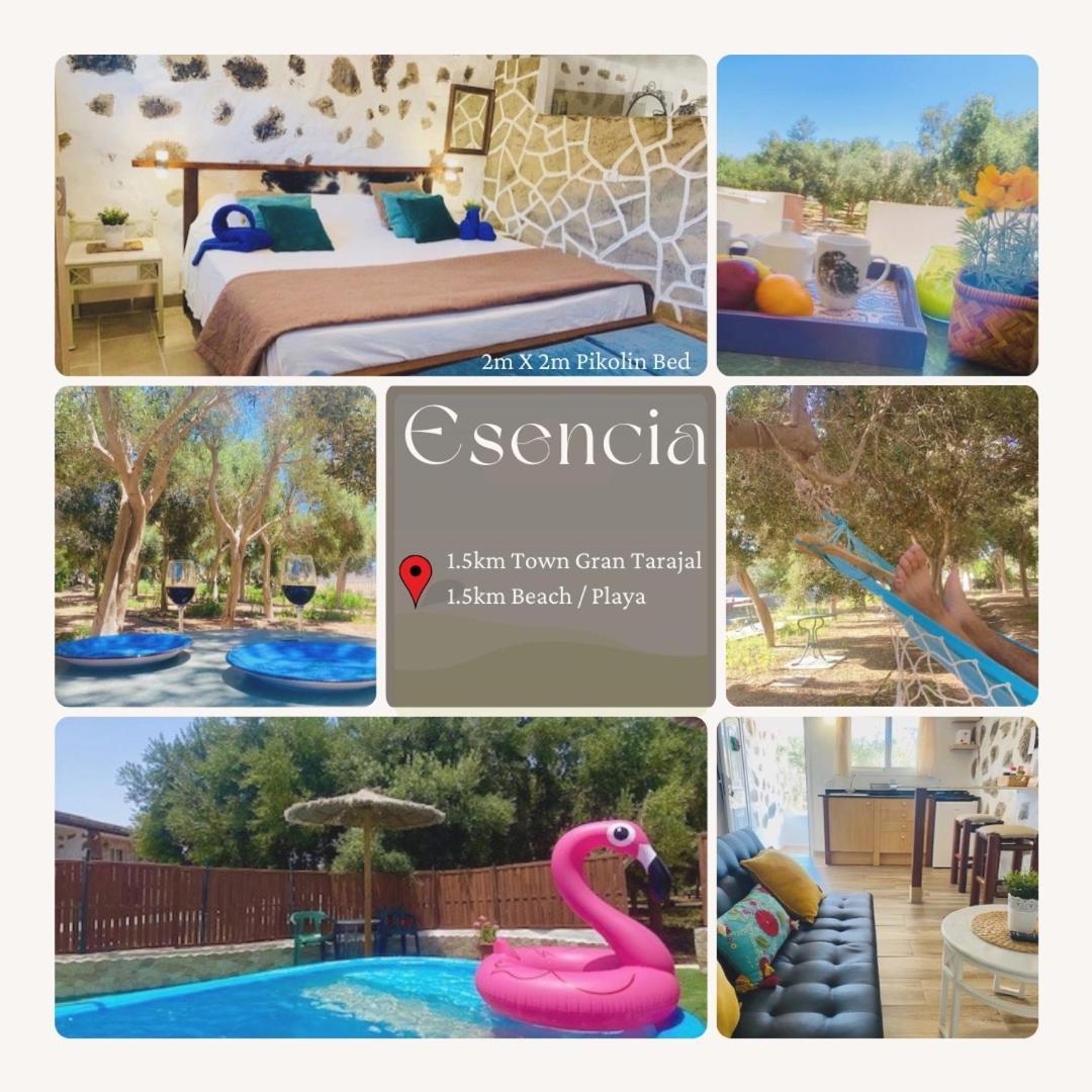 Bungalow Alma #Only Adults El Charco  Екстер'єр фото
